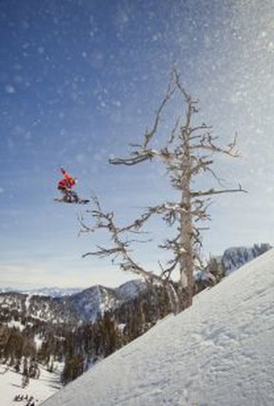 Art of Flight