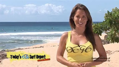 Surf Report